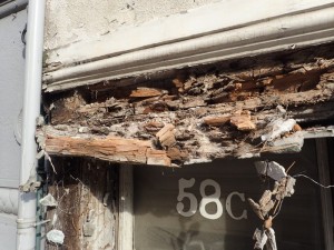 P7030672_800x600